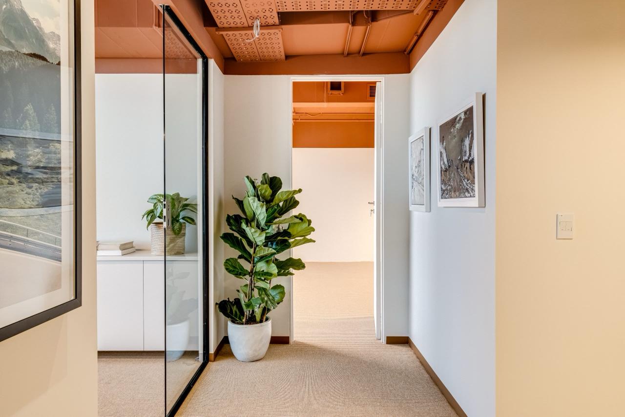 Office 6, the approach, along the glass